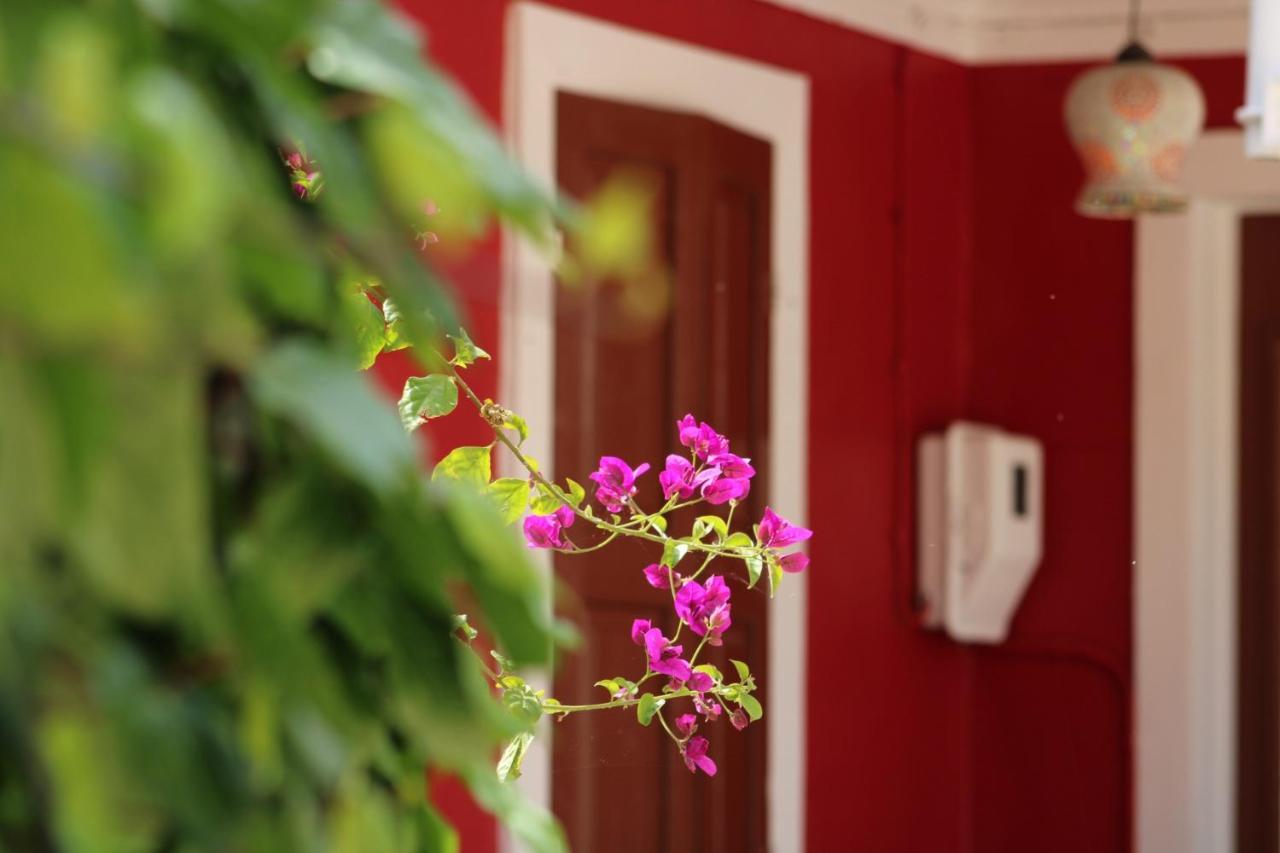 Penelope'S Street Old House Διαμέρισμα Λευκάδα Εξωτερικό φωτογραφία